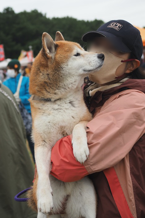 12日夕ブログ13