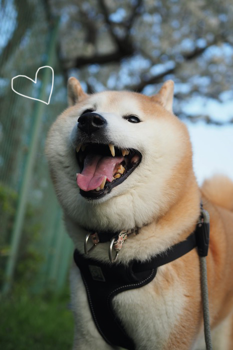 28日夕ブログ３