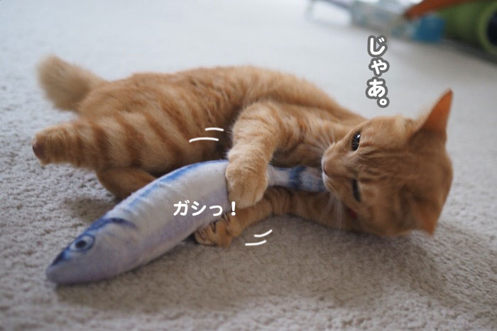 9日夕ブログ４