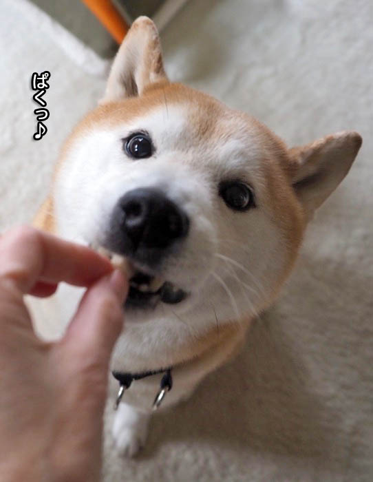 1日夜ブログ７