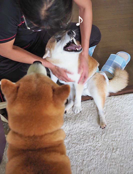 9日夜ブログ５