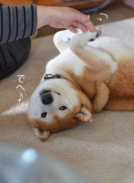 17日ブログ6