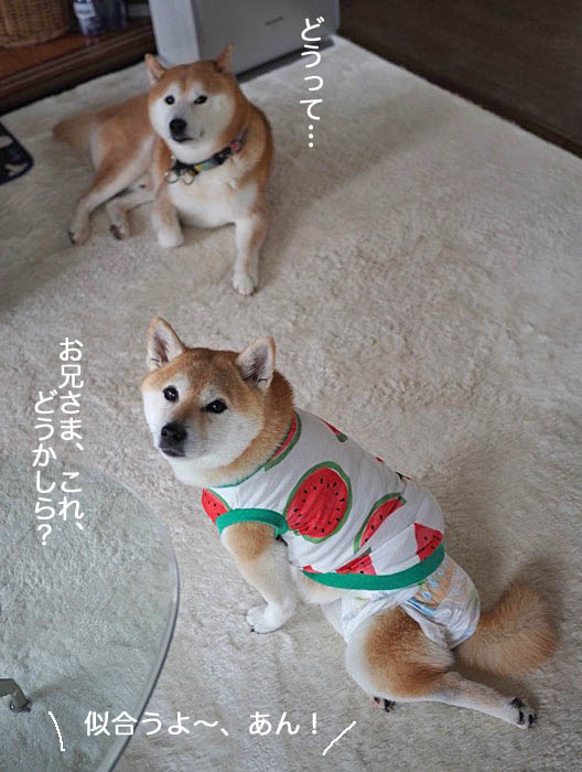 12日ブログ4