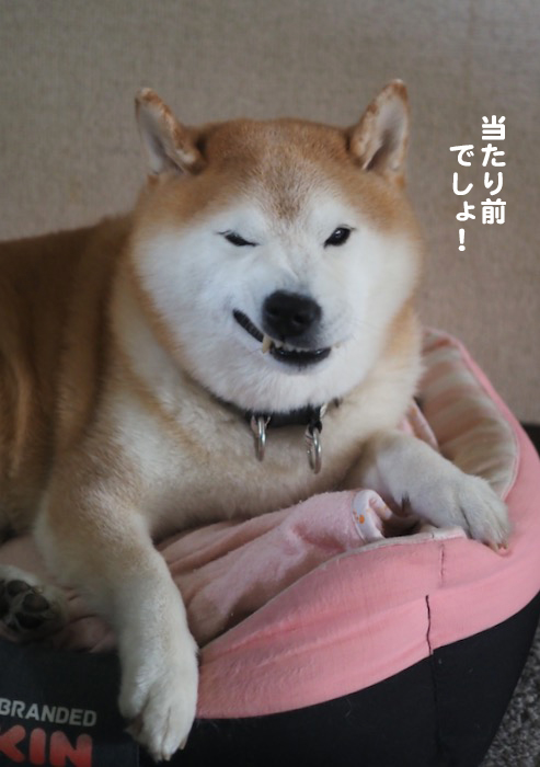 13日ブログ３
