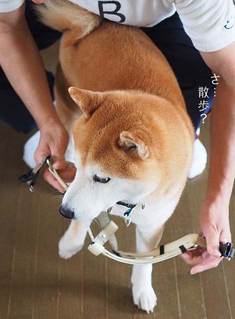 25日ブログ4