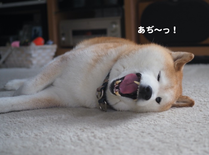 9日ブログ１