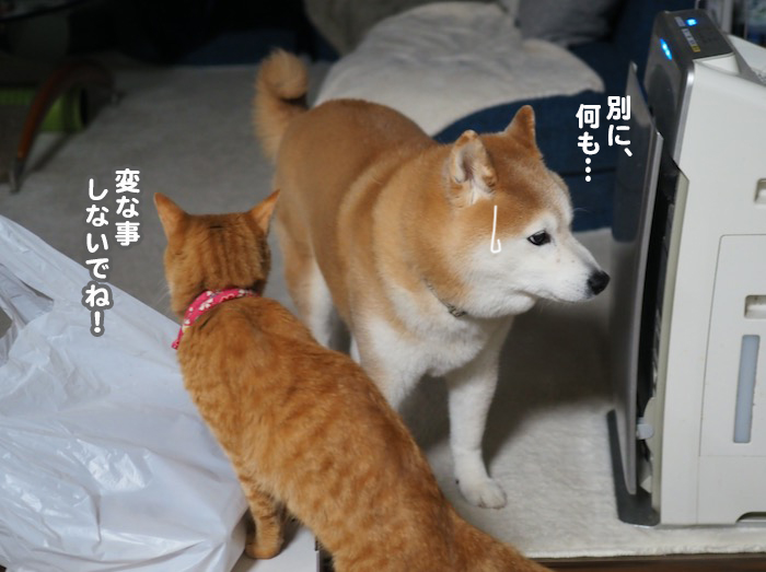 4日ブログ４