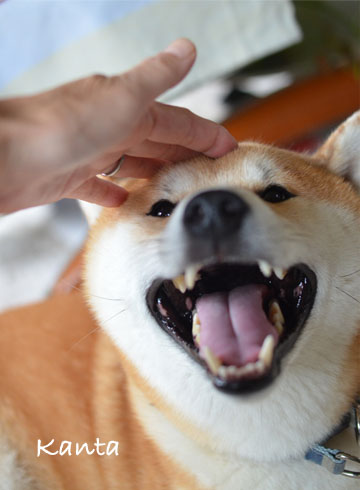 26日ブログ10.jpg