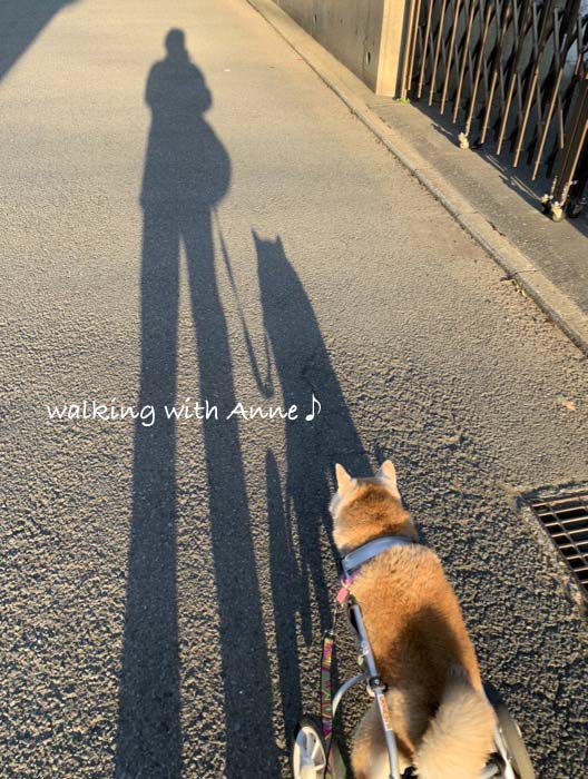 10日午後ブログ５
