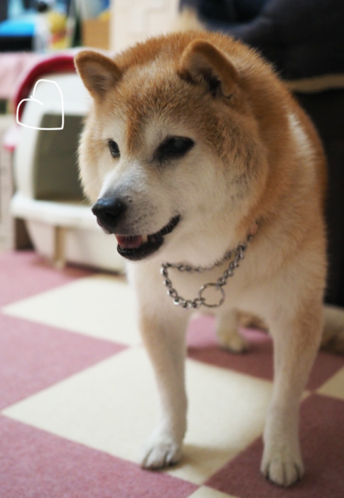 26日夜ブログ12