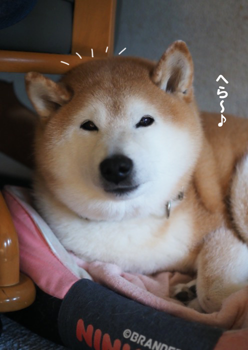 10日ブログ４