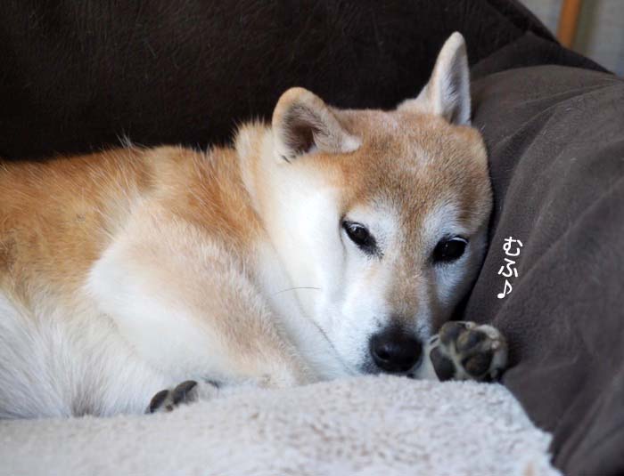 6日ブログ６