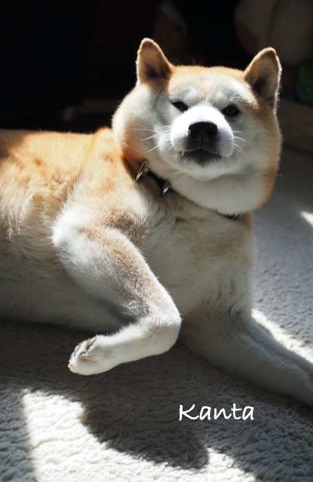 9日ブログ２