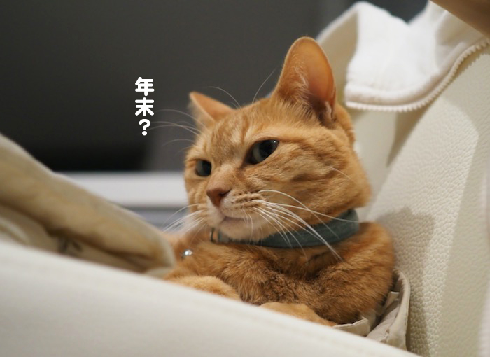 30日夕ブログ６