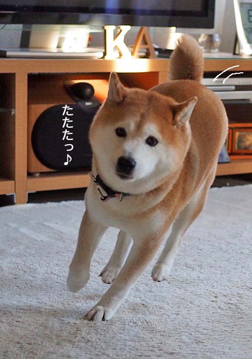 10日夜ブログ４