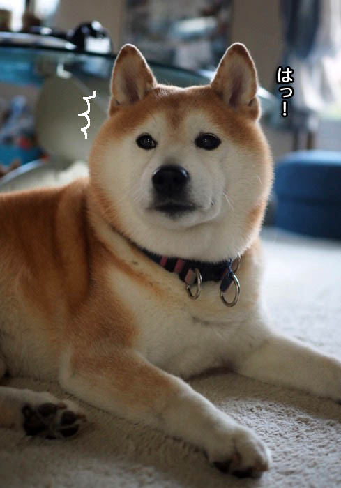 6日夕ブログ２