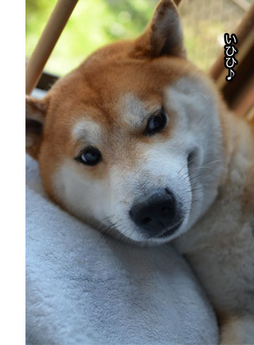 23日ブログ6.jpg
