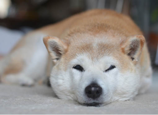 2日ブログ7.jpg