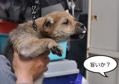 21日ブログ20.jpg