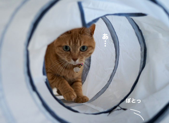 21日夕ブログ４
