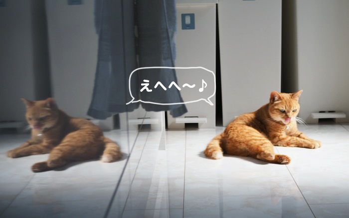 19日夕ブログ５