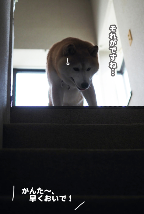 20日夕ブログ３