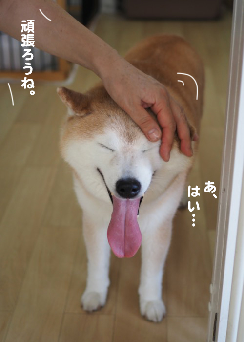 13日夕ブログ１０