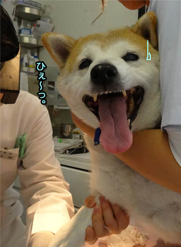 21日ブログ3.jpg