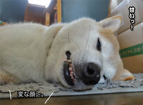 26日ブログ10.jpg