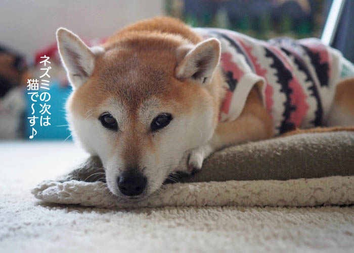6日ブログ５