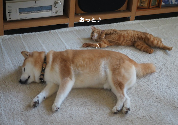 10日夕ブログ５