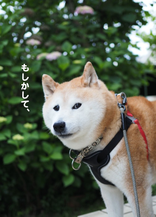 31日夕ブログ４