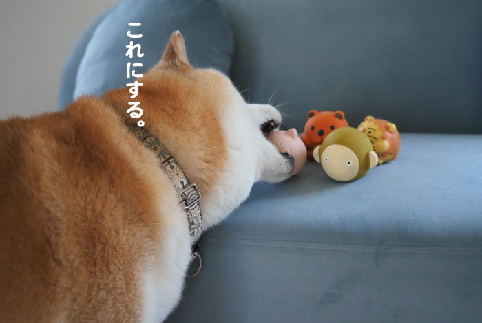 16日夕ブログ１２