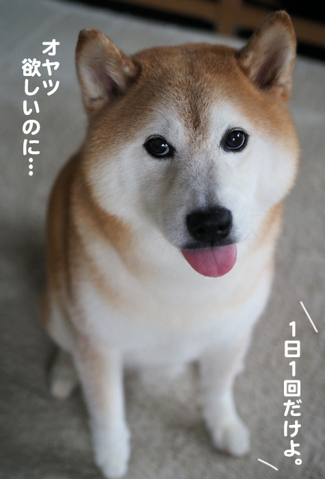 25日夕ブログ５