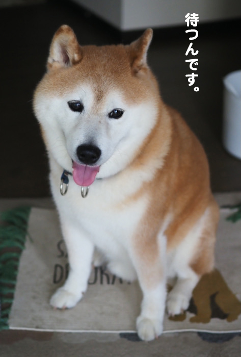 27日夜ブログ2