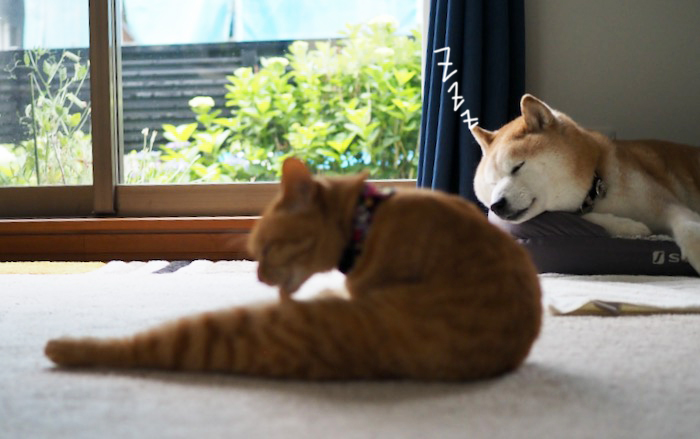 3日ブログ３