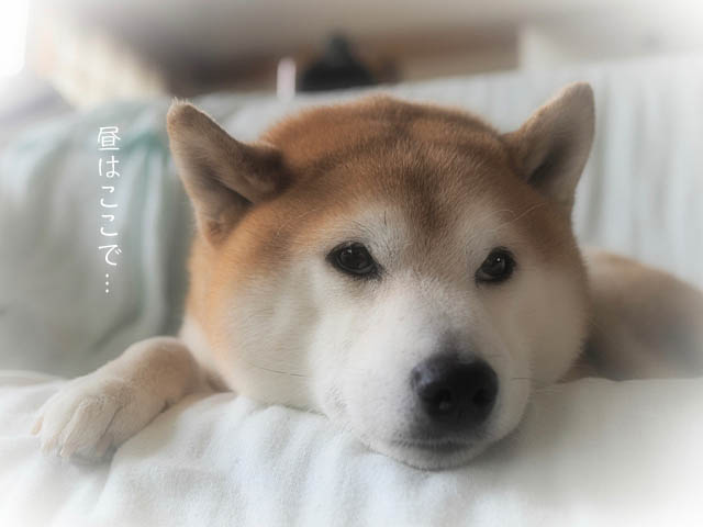 23日ブログ7