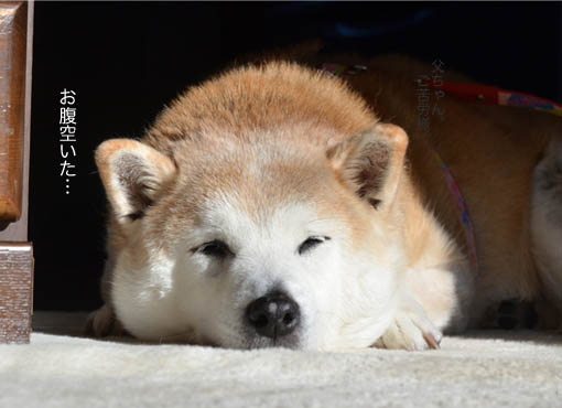 27日ブログ13.jpg
