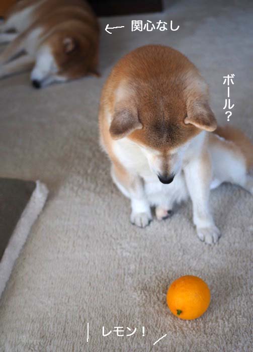 21日夜ブログ２