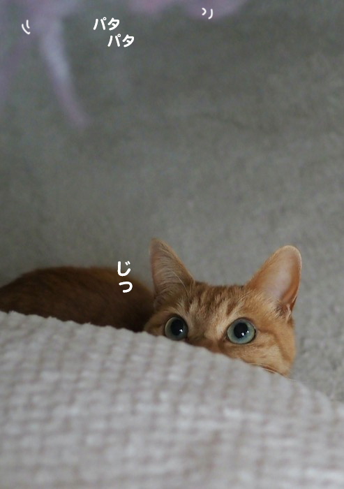 28日夕ブログ４