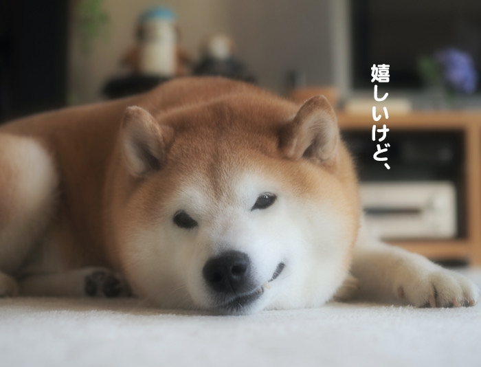 27日ブログ4