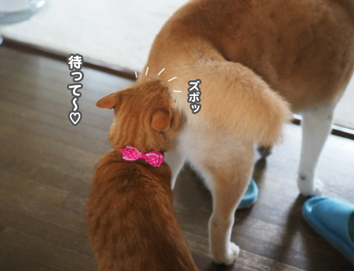 30日夕ブログ７