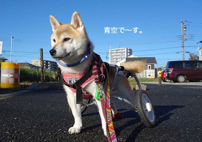 13日ブログ１