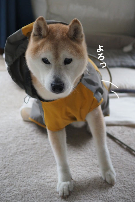 10日夕ブログ２
