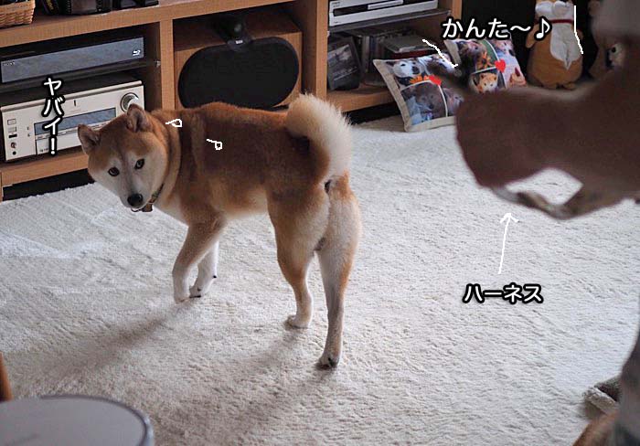 5日ブログ２