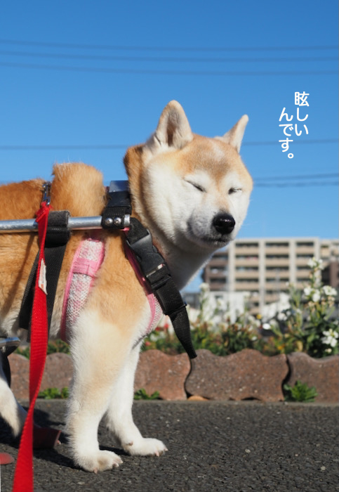 8日ブログ２