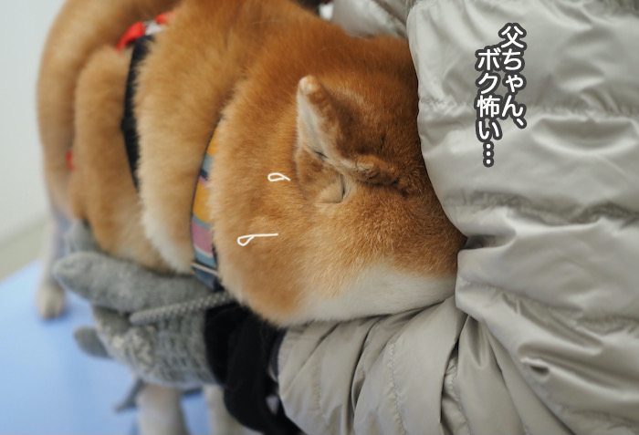 11日夜ブログ４