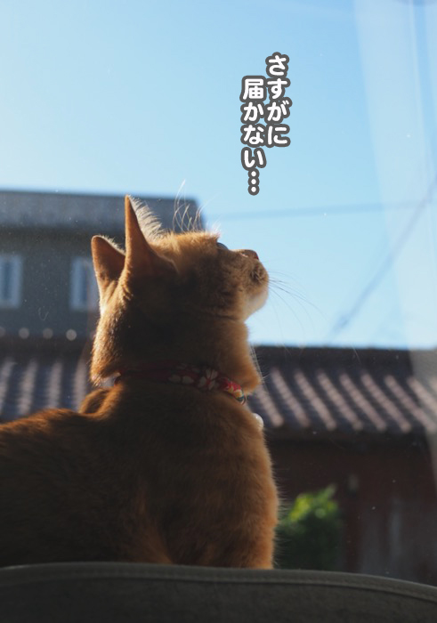 18日ブログ４