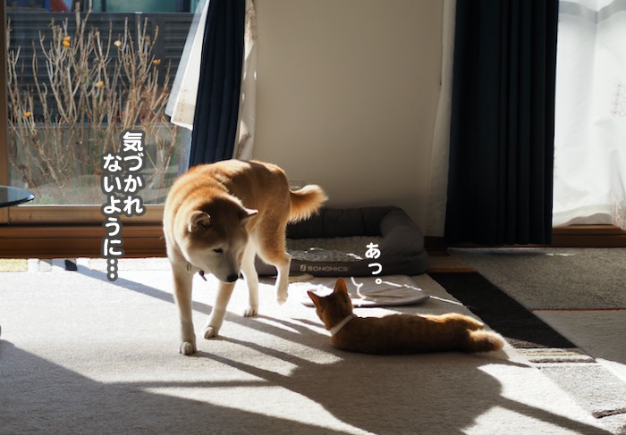 28日夕ブログ５