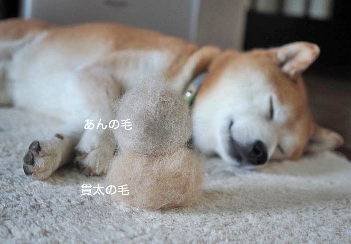 17日夜ブログ４